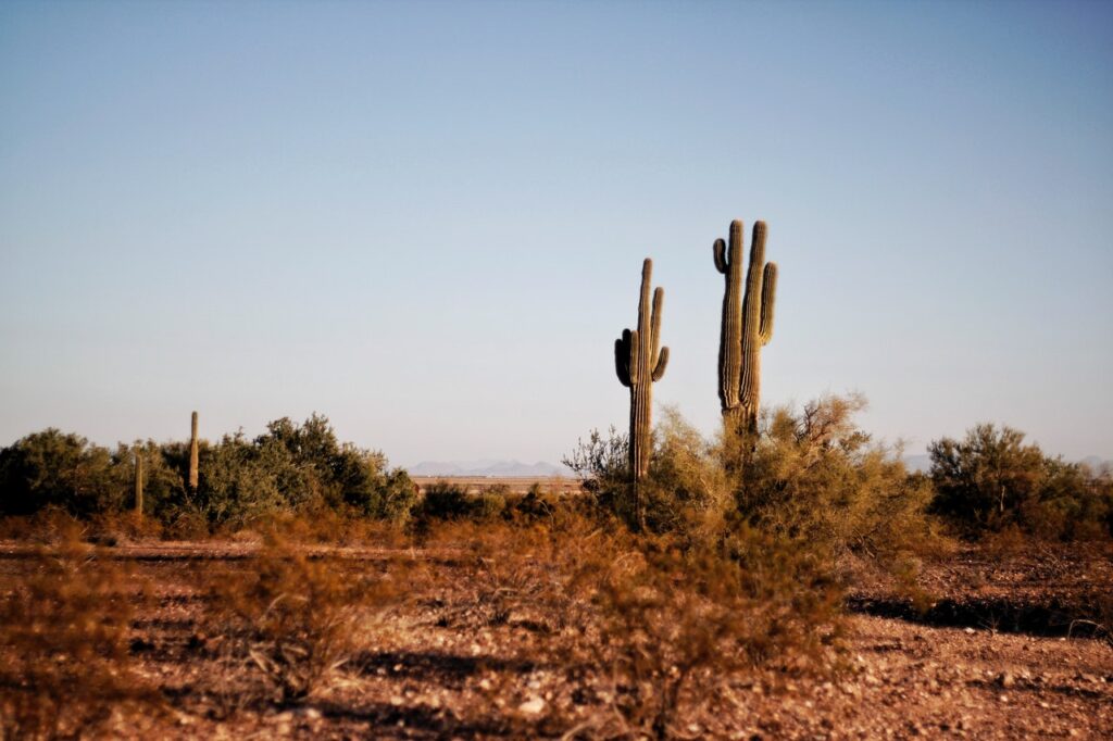 Bitcoin Hashrate Falls by Almost 30% After Texas Miners Shut Down Their Devices