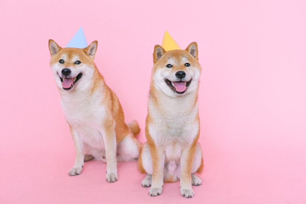 Bitwise Files Application for a Dogecoin ETF